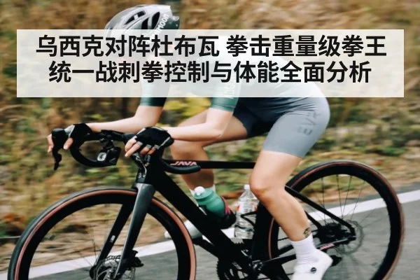 乌西克对阵杜布瓦 拳击重量级拳王统一战刺拳控制与体能全面分析